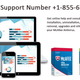 McAfee Support Number
